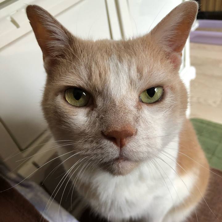 C0d75d7f e051 471d b6f3 91e06a89f06e 1627512226287