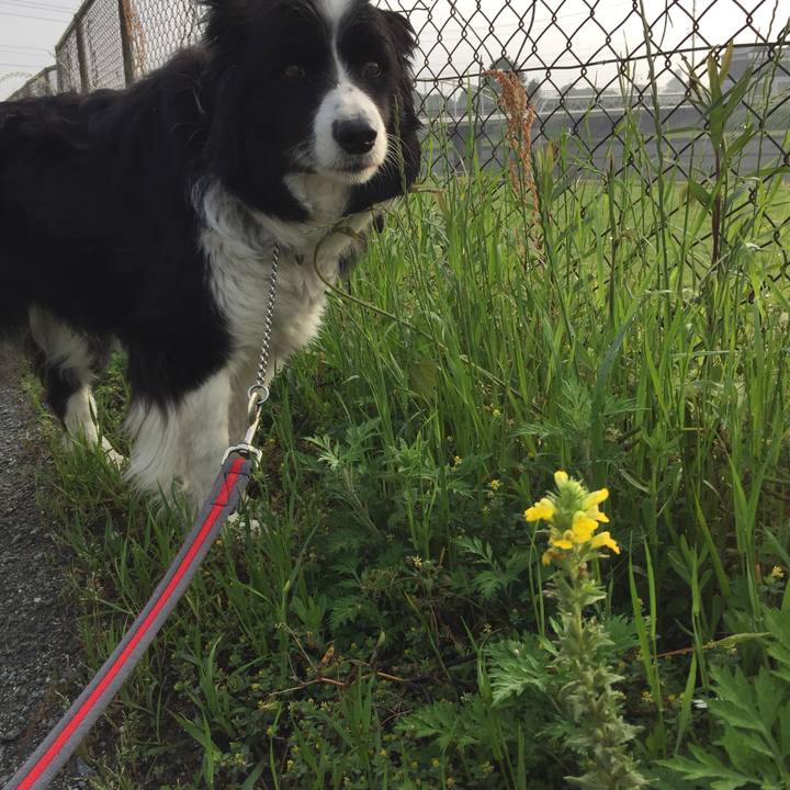 C0d76998 6507 4e94 9277 07b9b878f176 1556753771236