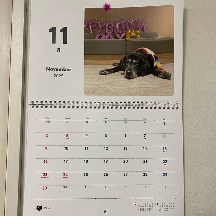 C0d78d06 e4ae 4724 befb 1b2f07efce5c 1762654684507