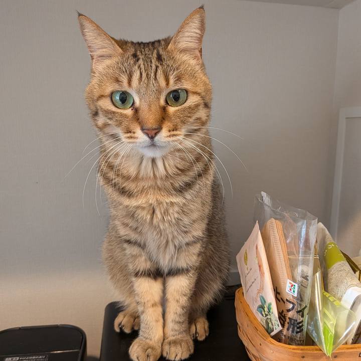 C0d79830 b5f5 4530 84a1 afe8d6cf5423 1770242885987