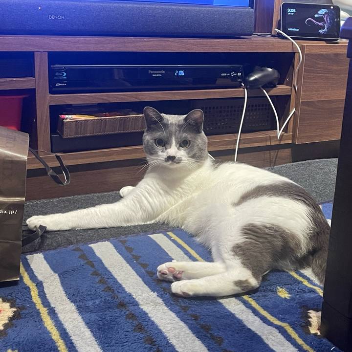 C0d7db09 8cf3 41fc b849 f7d3f9b56c8d 1668254894364