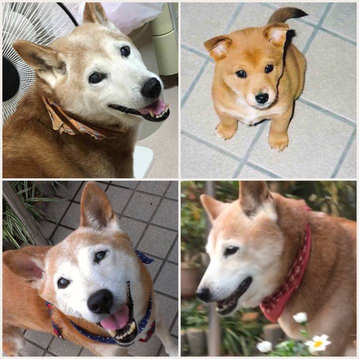 C0d7ea80 ca29 49ea acfc fbf80eadb825 1511936975929