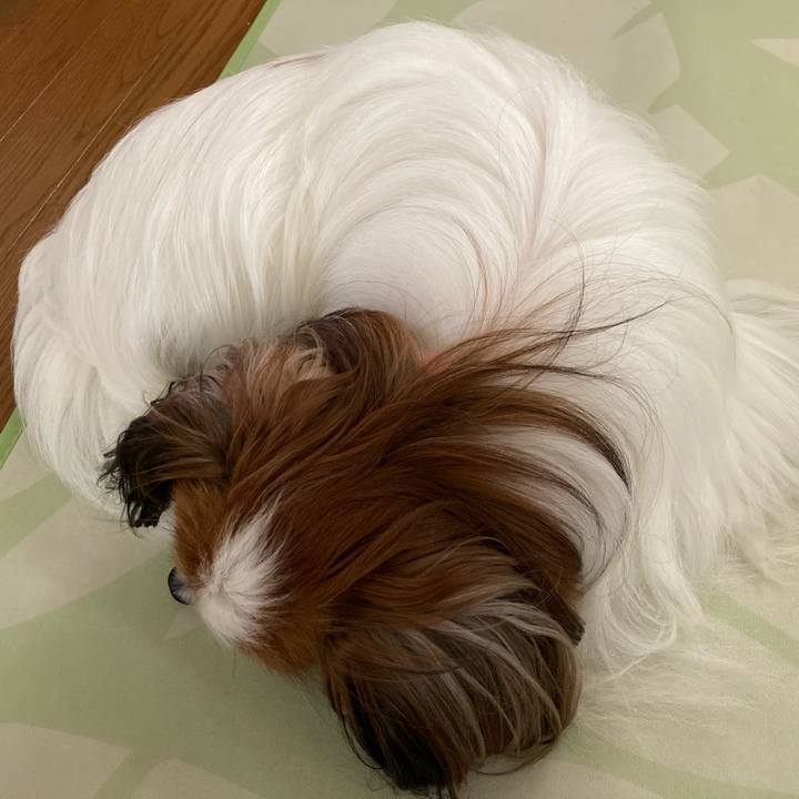 C0d812c9 cfc7 4714 b2ab ac07362ed374 1630667591264