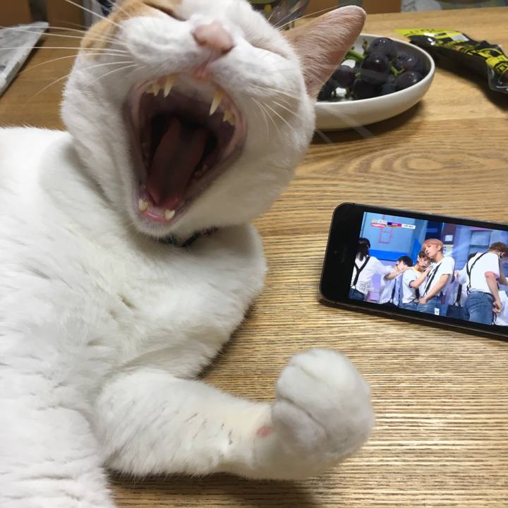 C0d8160d 4d4f 445e 8210 7d8754dca5c9 1536246688625