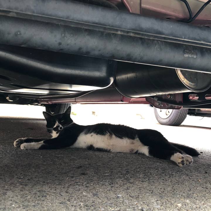 C0d82f68 29b3 4b31 9490 9732ac6ed4f6 1534091626672