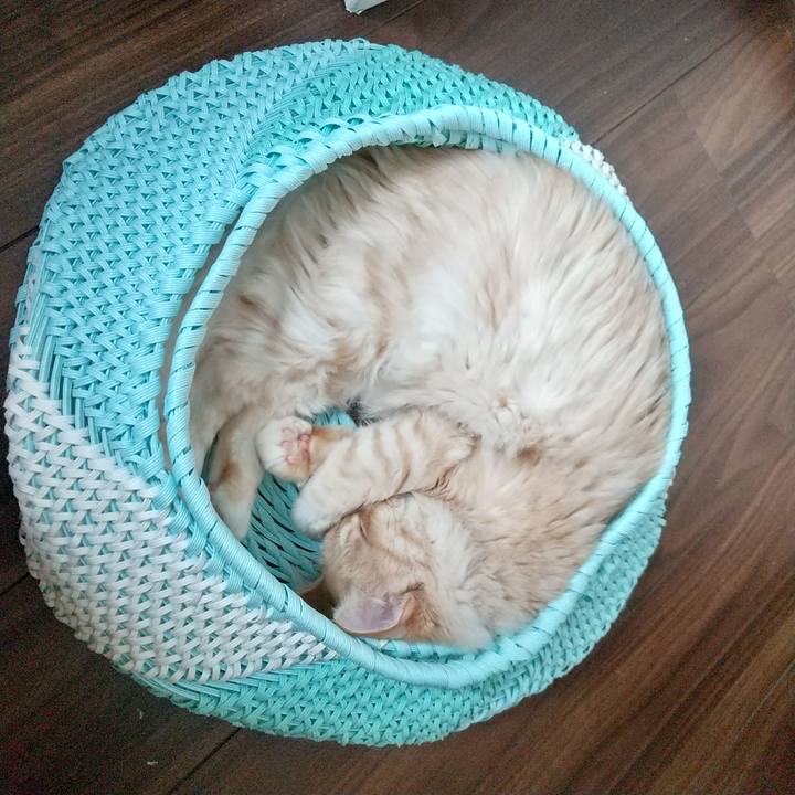 C0d83921 5c61 4fa8 8fcf c2b5a3a58338 1622943009962