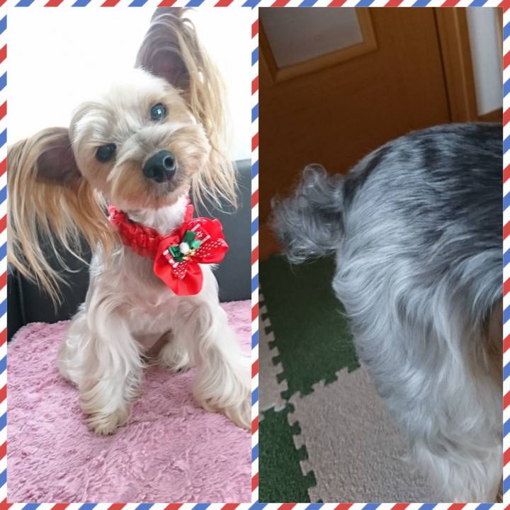 C0d88575 c00d 4e26 b17a 07eeab0d3cc8 1542698981310