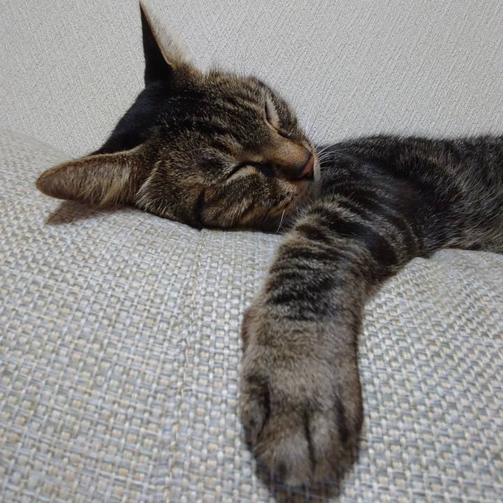 C0d8be8f 69d5 4e21 8688 16b1c500d272 1628843494883