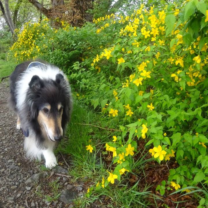 C0d8c865 e55a 4ad3 b47d a65f4523d115 1617626848204