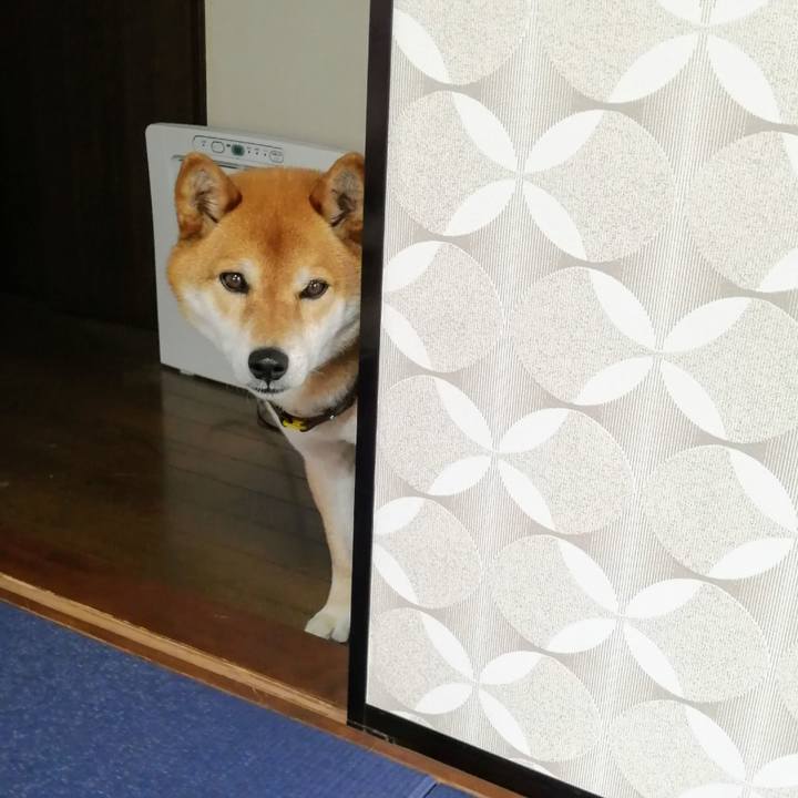 C0d91b8f d46d 401c ac2c 2a5f0685e914 1620359585230