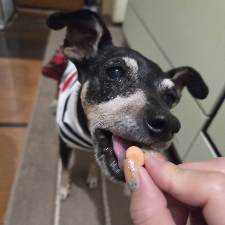 C0d92ee9 fc6e 4f91 a1ed 7968fd303be7 1754852953240