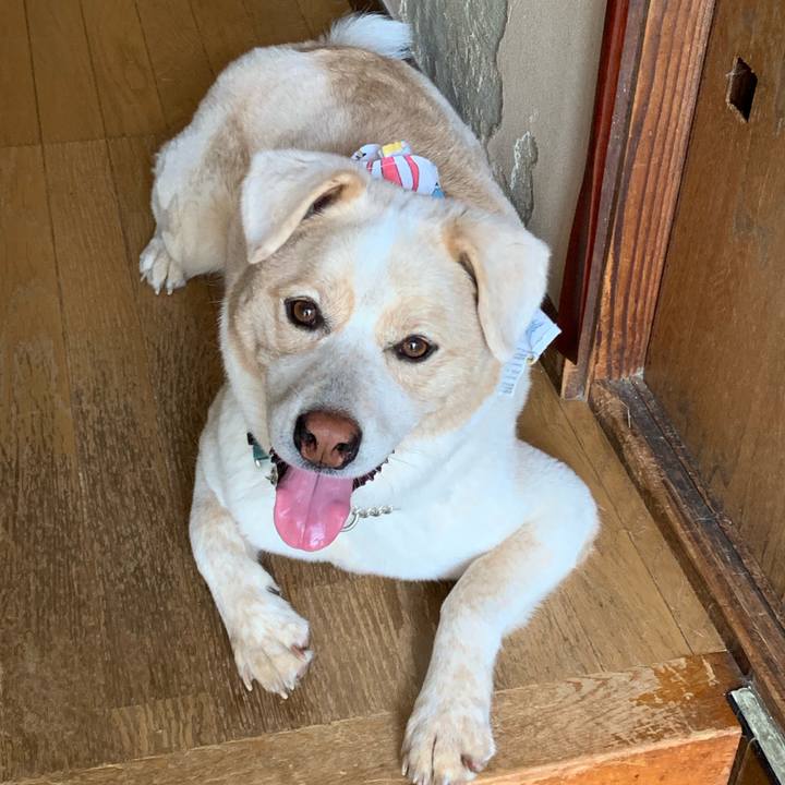 C0d9336e 102e 4021 a1bf f8857a35de57 1566266842646