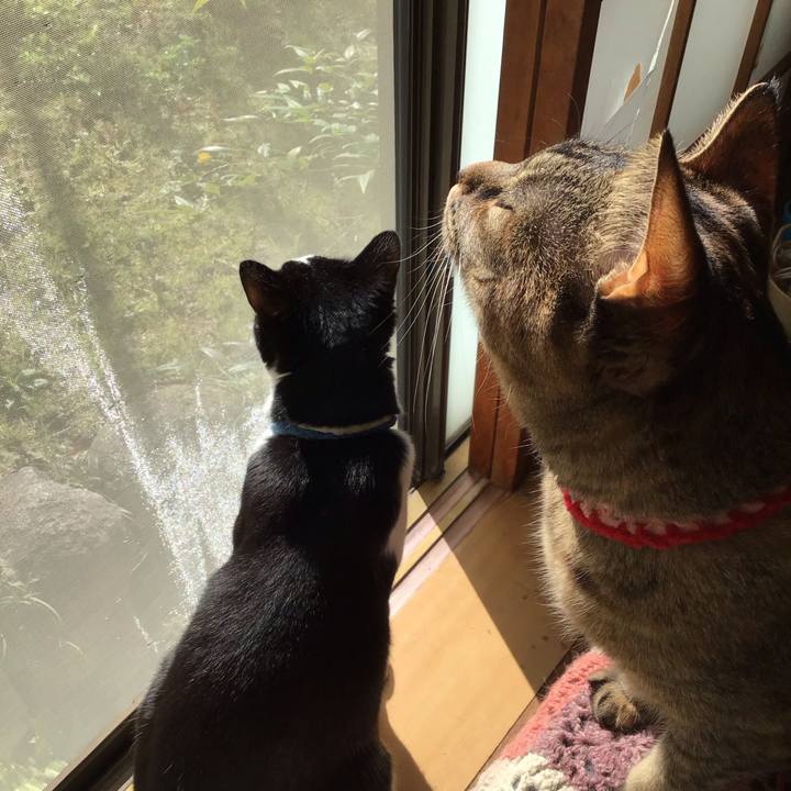 C0d972ab f41b 4575 89a3 f3453a2e8ad9 1680312893706