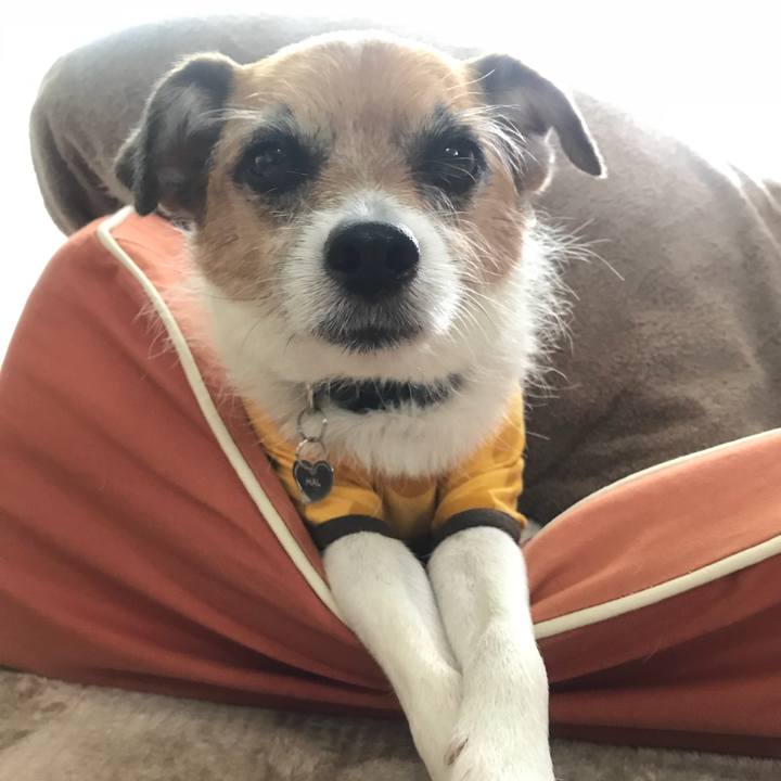 C0d9c9ff c907 45e3 86d2 adbbb1d972f4 1529810929010