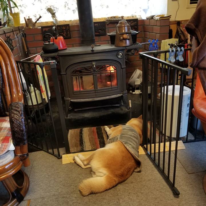 C0da1dd8 9fae 4836 9e6e 4d7ed4cdb4ce 1645313387015