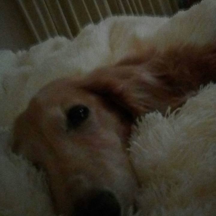 C0da705e 1427 4044 96ca 7957d55270fa 1545087860558