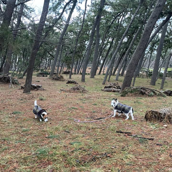 C0da9cc5 b0c9 49b7 ba96 c08b17c27a9d 1770333741141