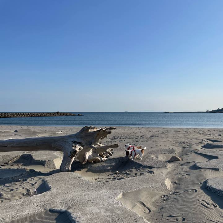 C0dab575 d395 4247 969d e8ee8f120557 1679357658522