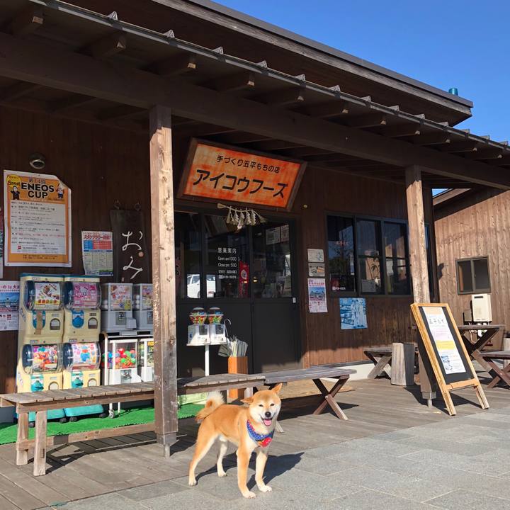 C0dabfde 0f71 48e4 973f 49b4c4628947 1520939400922