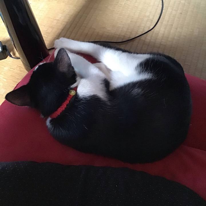 C0dac534 0c82 44d1 a02f 537b6be83a11 1627424786321