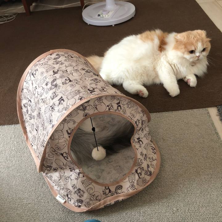 C0dad19d 1fe7 4645 8816 8f5aec3ee942 1599082614748