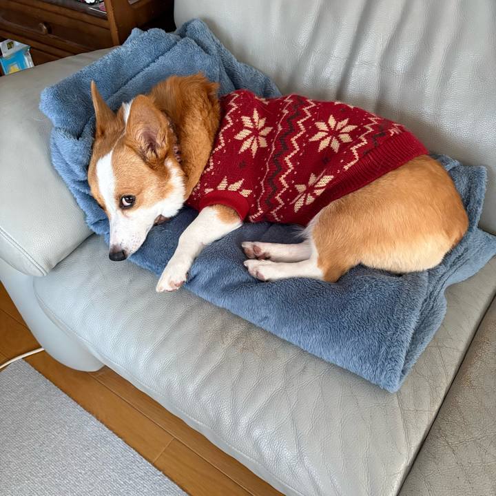 C0daf31a 0789 423c 968c 48c50d41fbac 1768778023622