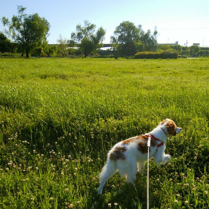 C0daf332 4c3c 4fe8 84d8 37713af57013 1557230429063