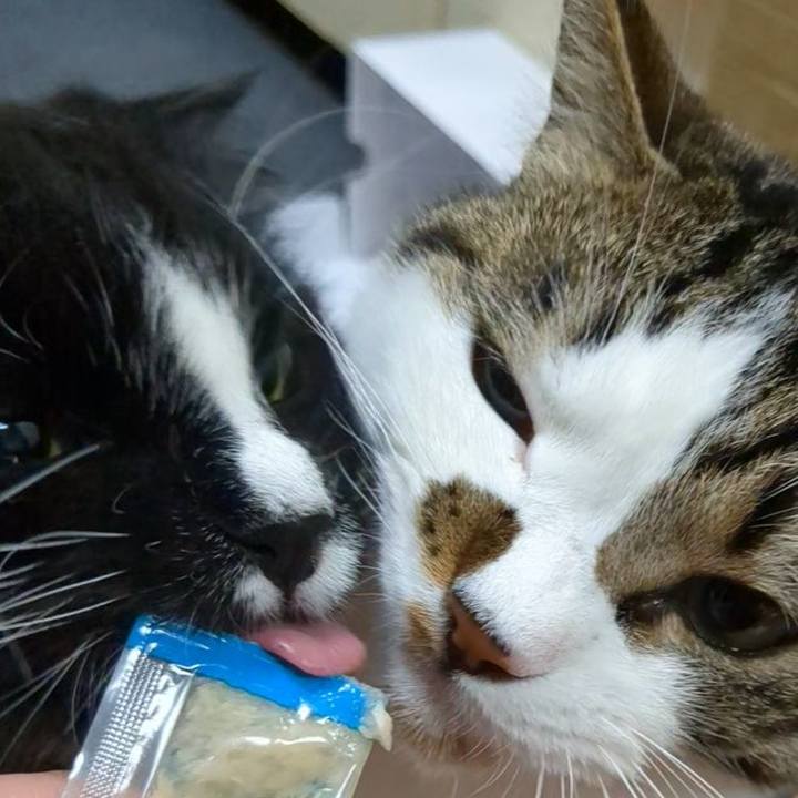 C0db2df9 af13 4a8f 9477 d8f68fc81242 1718018609490