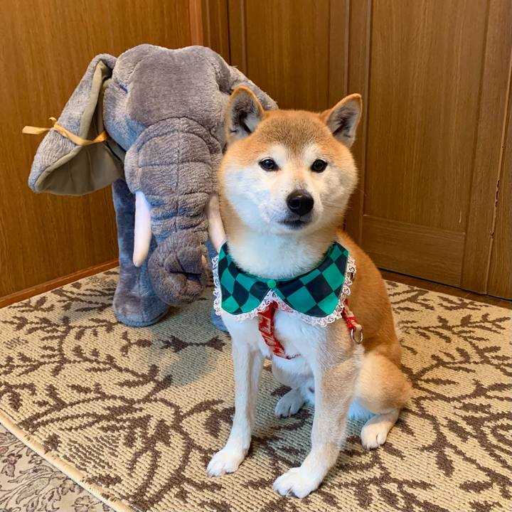 C0db4eeb 9d54 4cc4 bd52 0dd3373c478f 1756292706214