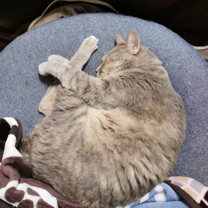 C0db6dec 90b9 4f01 9389 2c854779c406 1681282839293