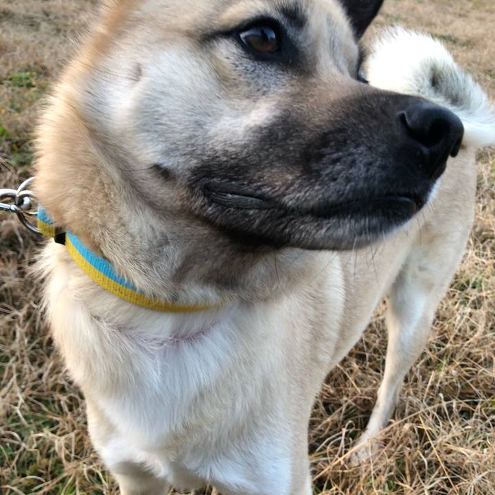 C0dbf3b6 0cc3 4960 b210 be09dffbe5e2 1549281447992