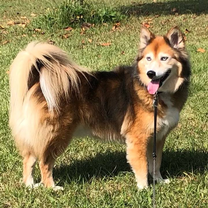 C0dc0b3d 840c 4fb8 8dbf ad44793cb0ed 1666539861375