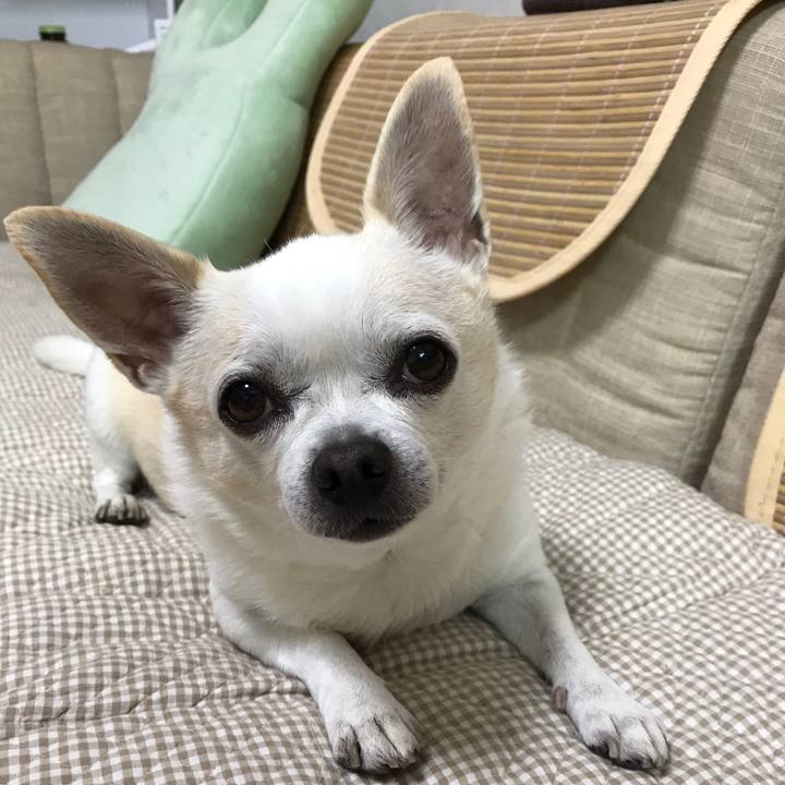 C0dc4b5a 2e82 478c 9aba e59911d3efa4 1549369360331