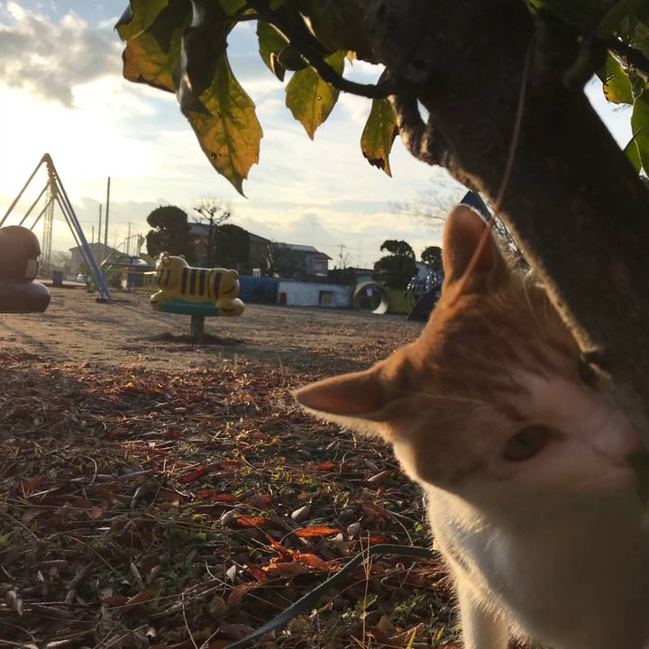 C0dc5fcf d590 4cfc 9787 8c58bd597eec 1511511848703