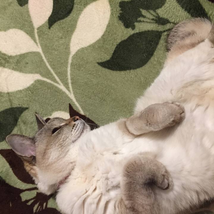 C0dc6f72 c62d 401a bd99 1fe6e9bbcbe2 1585307432798