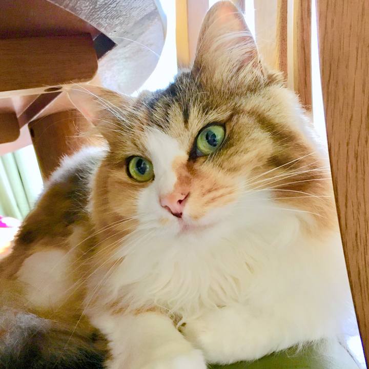 C0dc7196 8c8f 4e23 b055 9cf65a33c3be 1566270510794