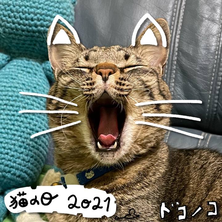 C0dc7e17 5b00 4c31 a829 21c42e8e4fd7 1614002238731