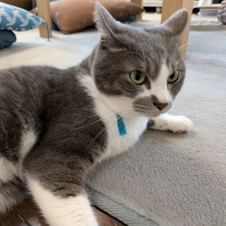 C0dc7e8c e3e8 4744 8638 f79720c31200 1725487131206