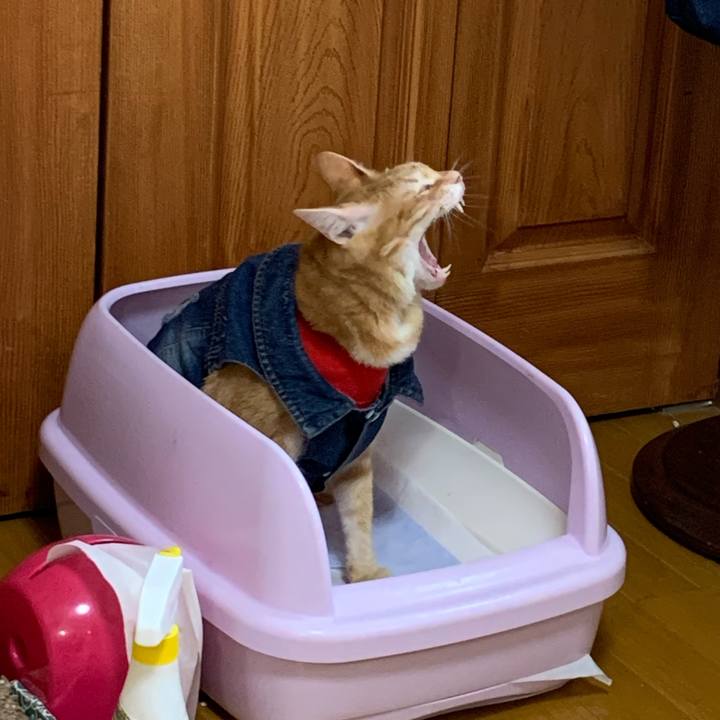 C0dc9164 c459 4681 a339 82a3aa01903a 1624742937126