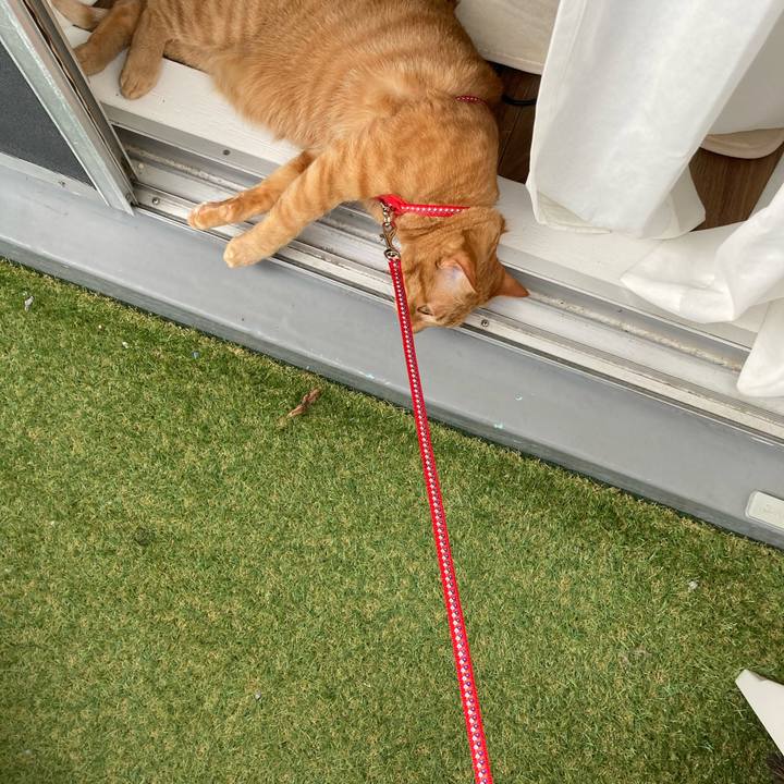 C0dc95f9 7c7e 4700 8846 b96df52ca756 1623065727975