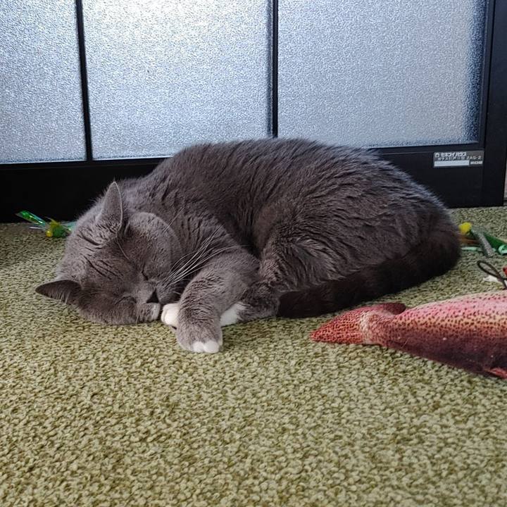 C0dcc641 02a2 470a a221 29ee95baa130 1714890634177