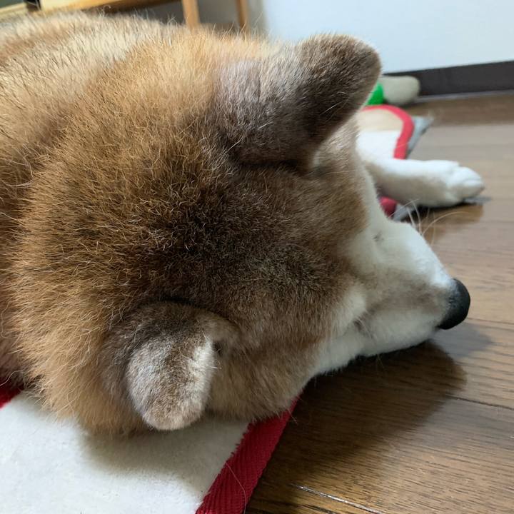 C0dcda7d e184 4d7f a288 fa8ca307dcc1 1639529221467