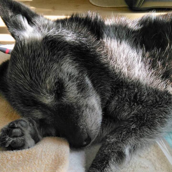 C0dcf2a9 85ef 4cf2 86ce 133961fd9730 1583313796560