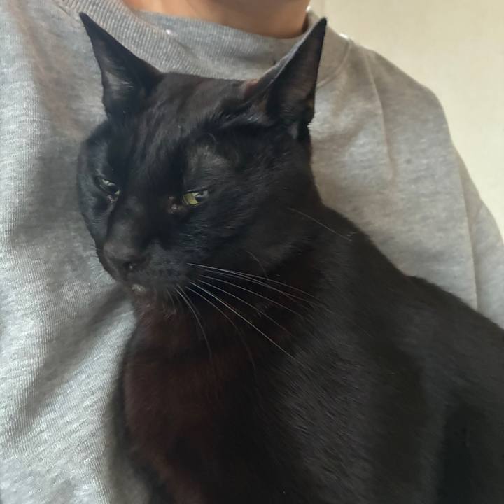 C0dcf2ff a145 4268 8965 050f58037658 1744062537665