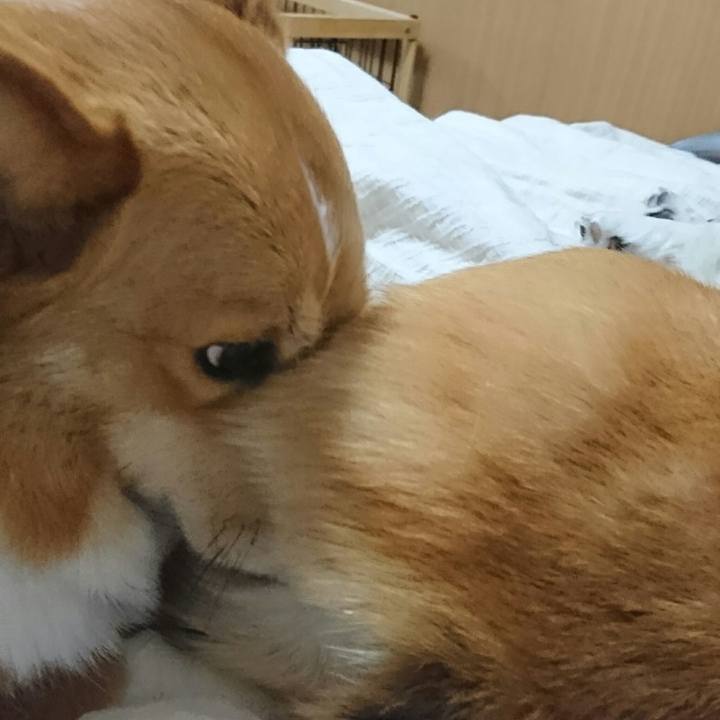 C0dd1a3a 89c9 4552 89ff 0a2196029d4e 1518683627558