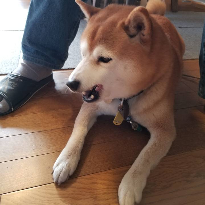 C0dd34f4 242e 4fc7 afd0 432f076ff82e 1605498389530