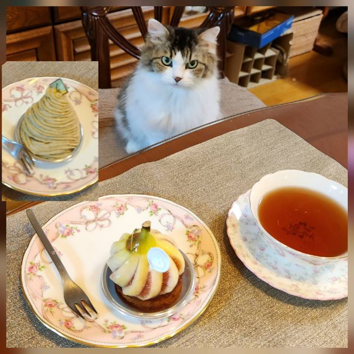 C0dd527e d59c 4b9d 82d3 238b99ea85c6 1759142246770