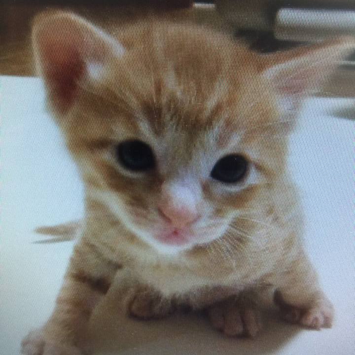 C0dd54a2 2d56 4ddd 8684 52c62b3f279c 1553134750168