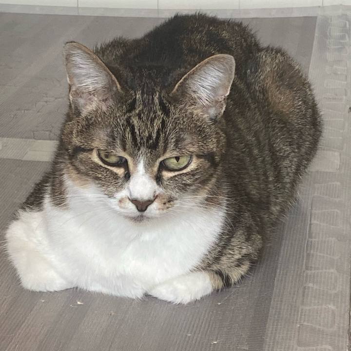 C0dd5813 1c15 4539 a608 afa04a6256e5 1620439888117