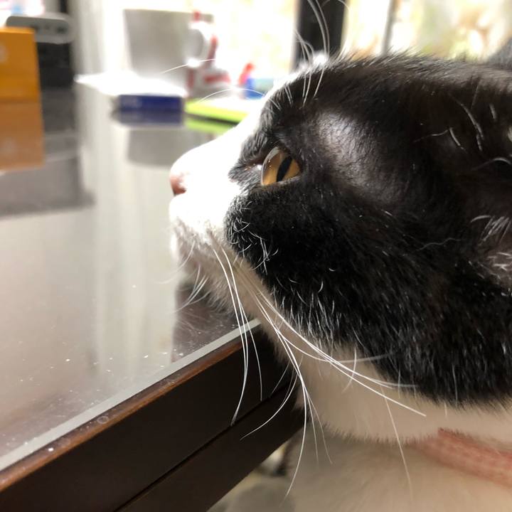 C0dd5f19 d0b1 4f31 9bb4 3a03f4b185aa 1617718391128